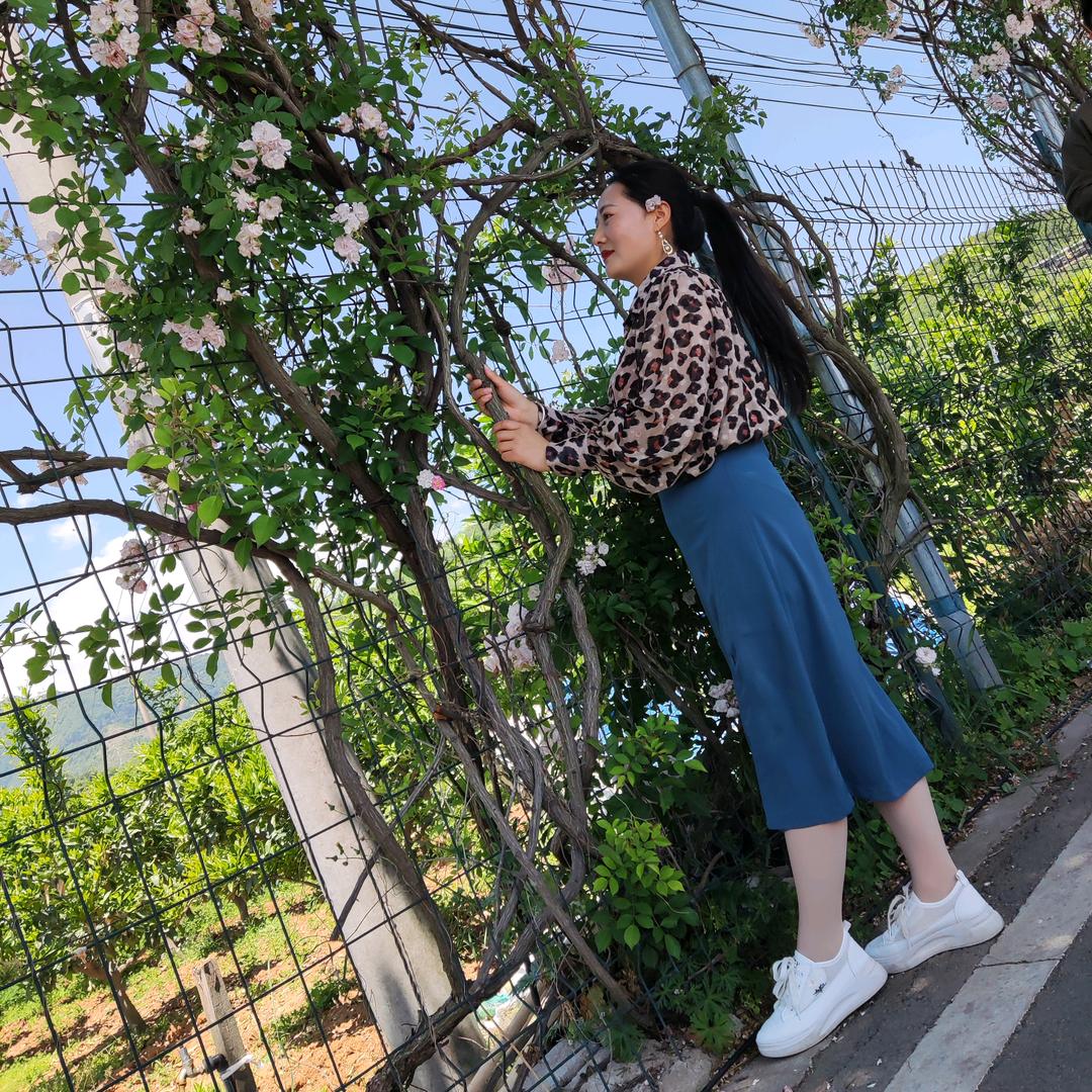 夏沫宛心
