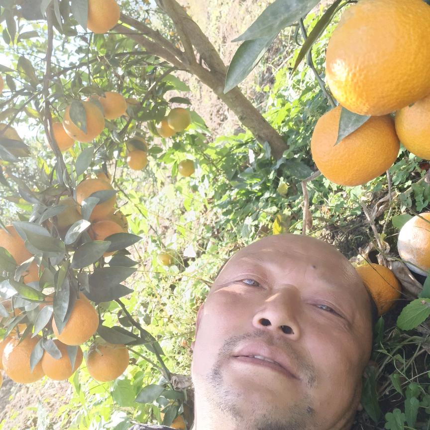 强势