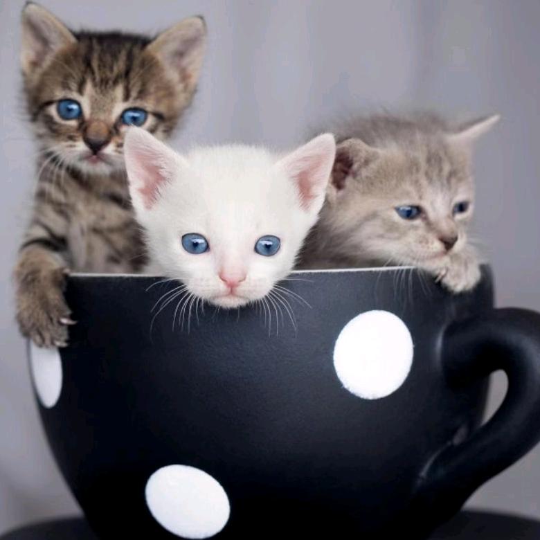 专业牛仔铝钉制造