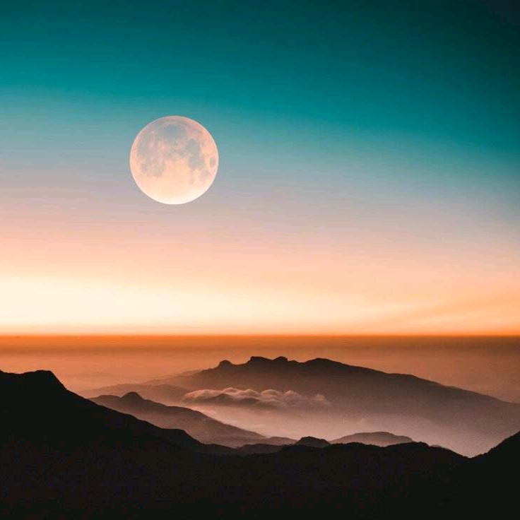 风情一格
