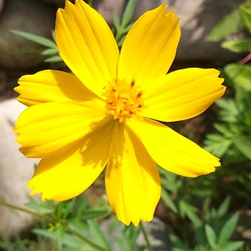 余生有你们足矣