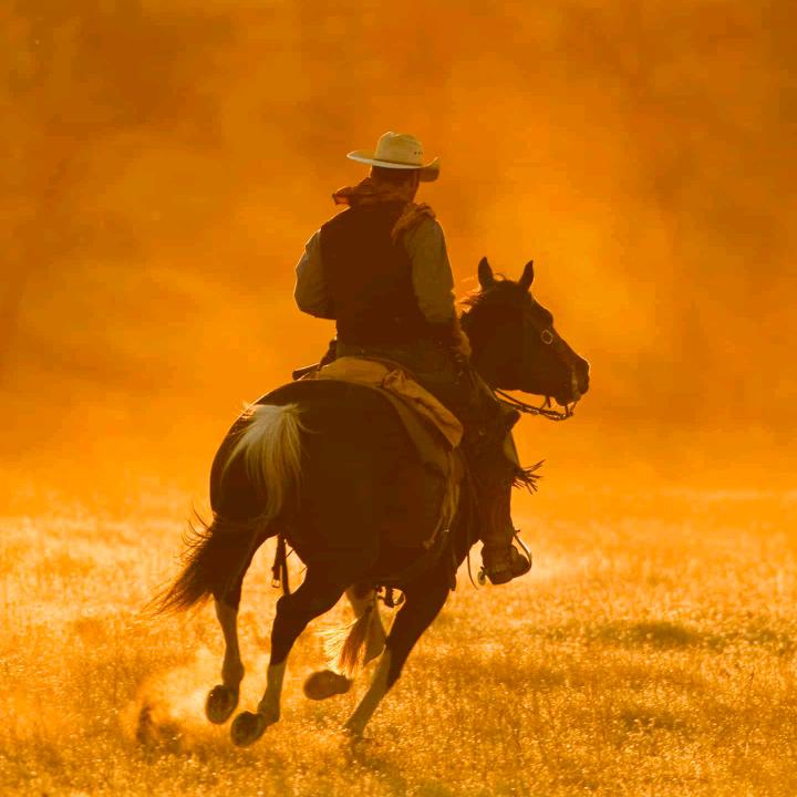 梦已逝、莫相思