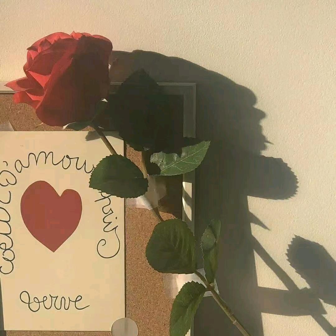 畅畅畅畅畅🧸🎀