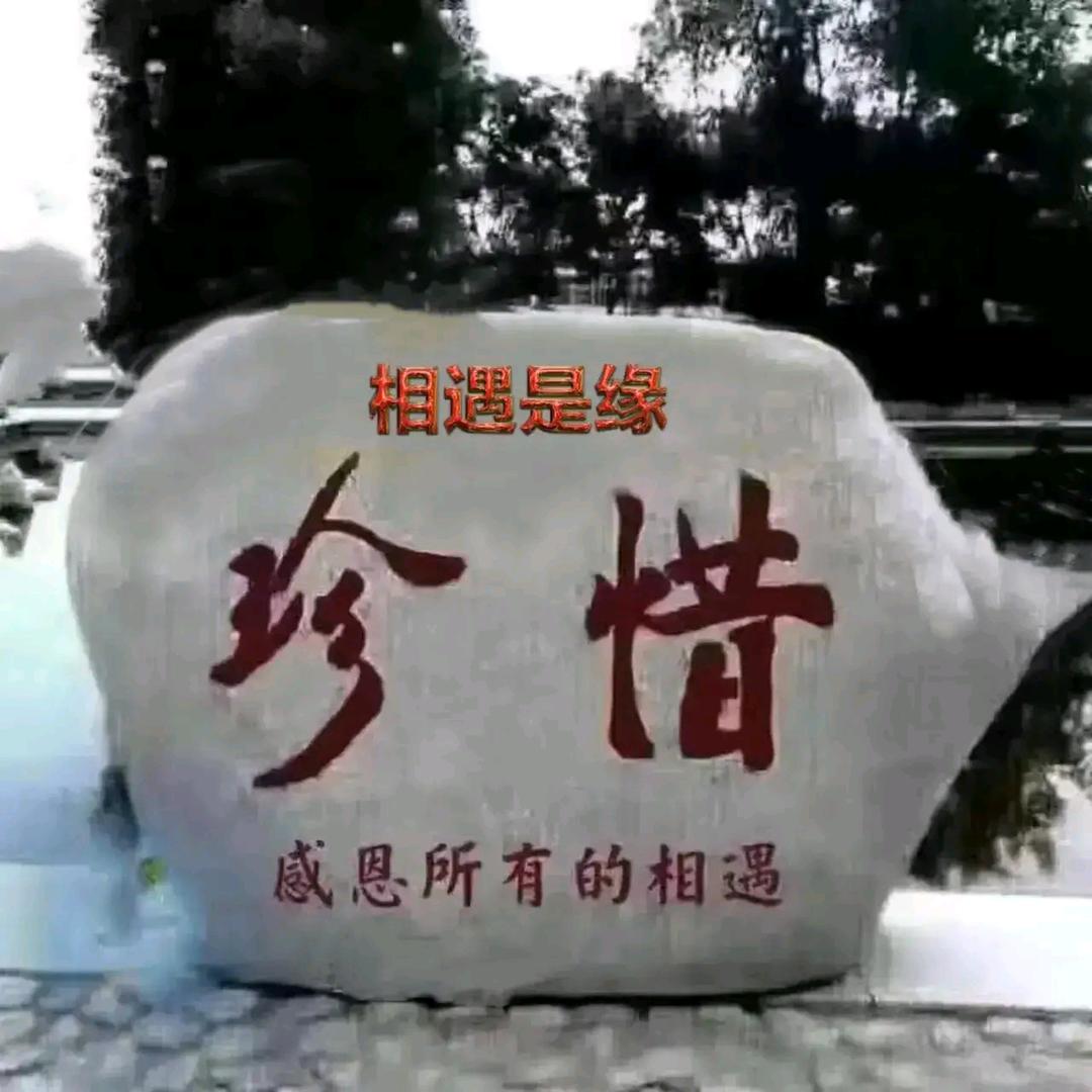 尚尚76373328