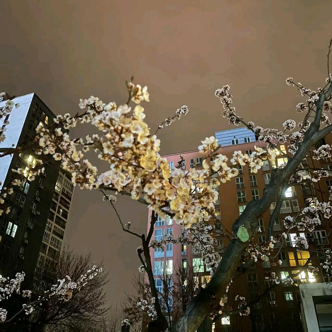 萍水相逢
