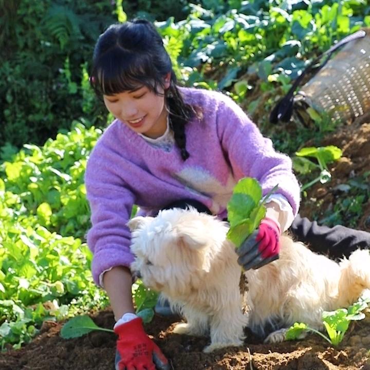 张晓勺