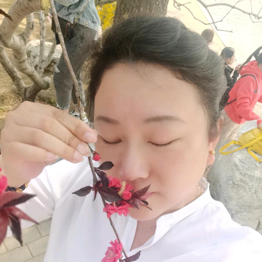 百合姐姐