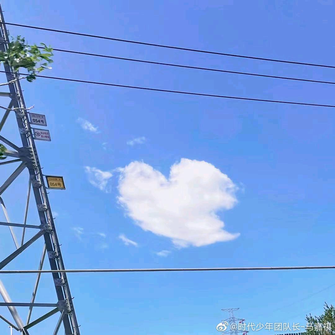 ˇ金毛狮王