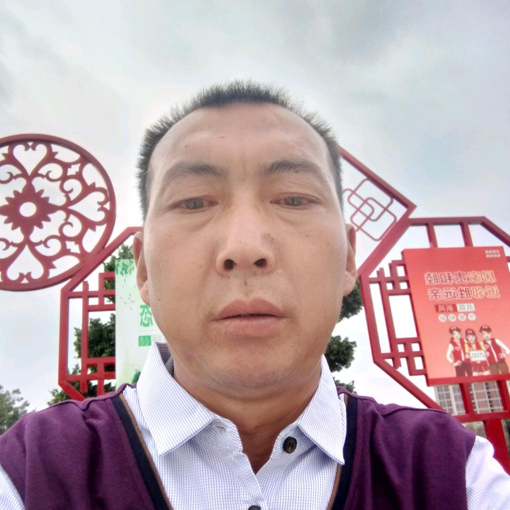 杜飞