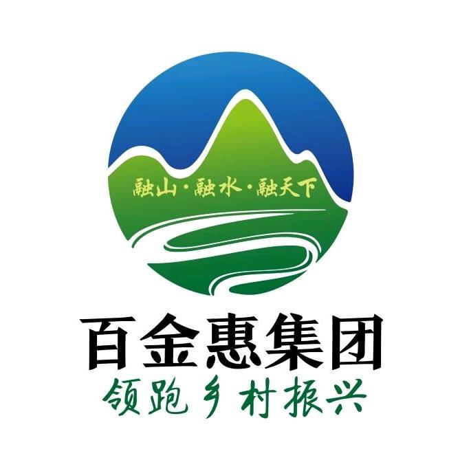 百金惠集团