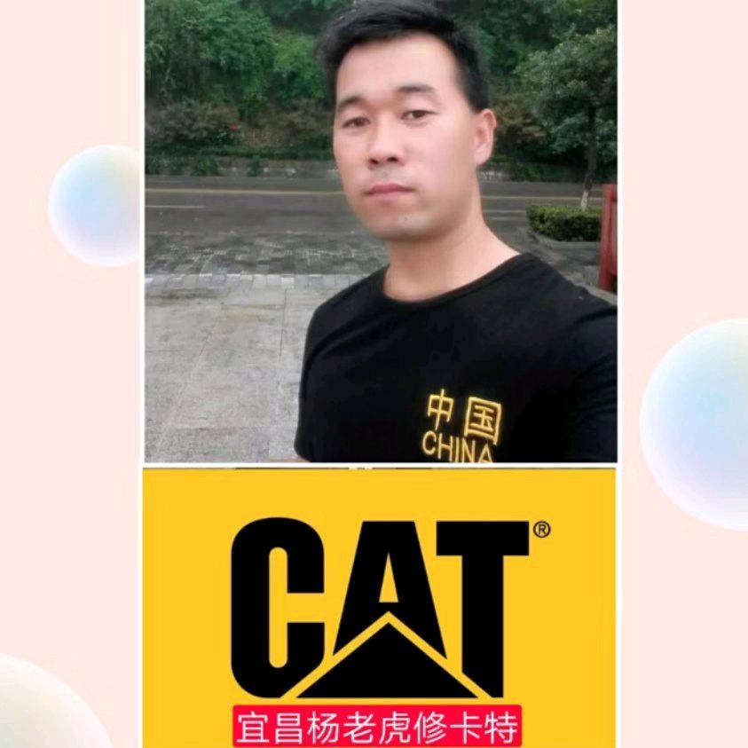 宜昌杨老虎专业挖机机电液维修