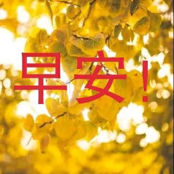 用户1981622039409贝贝