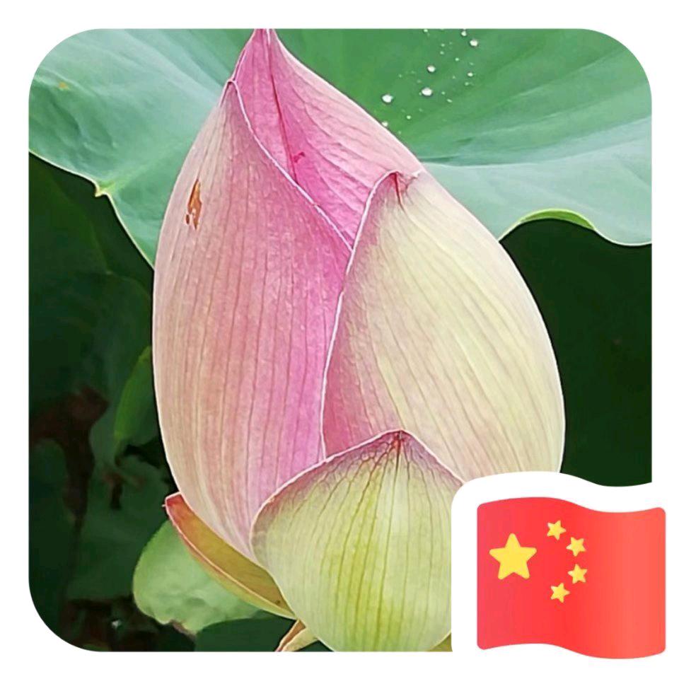 若水
