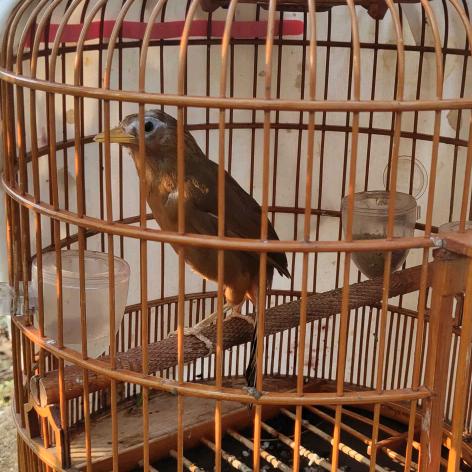 命运由我不由天