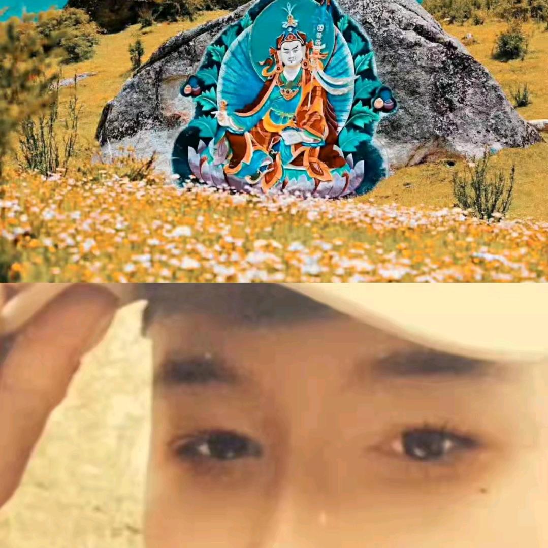 西藏尼玛。