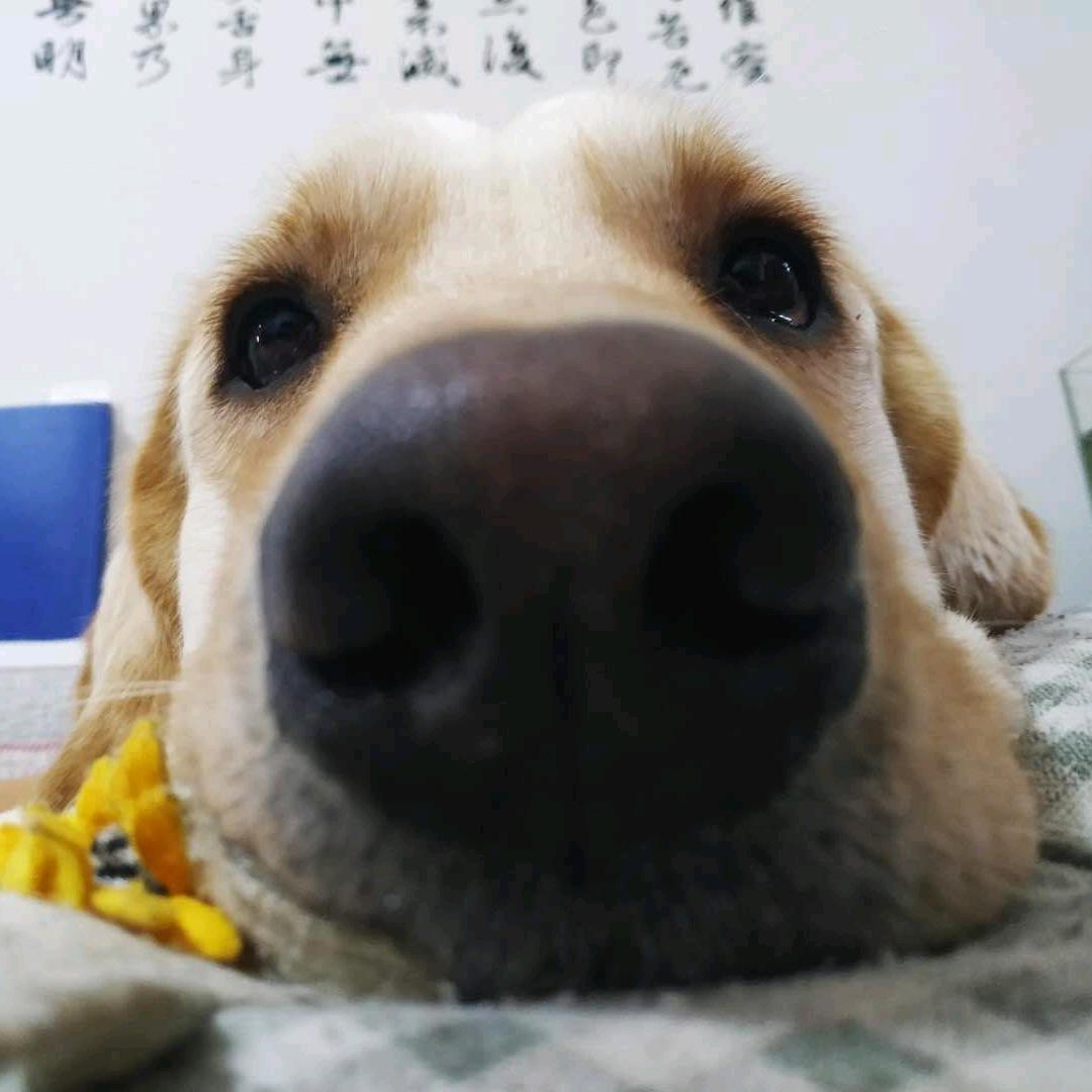 烟熏妆白孩