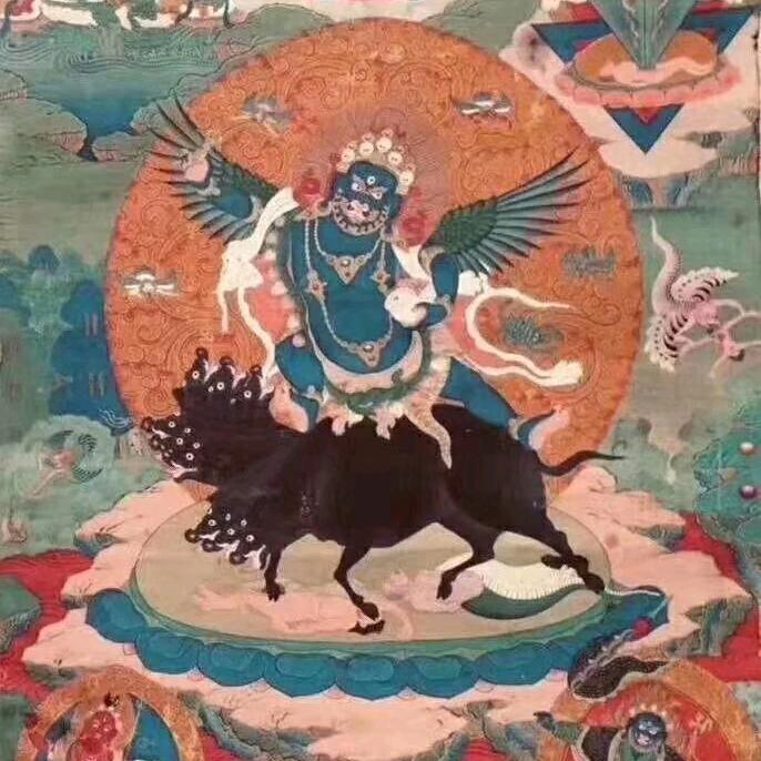 老鯊魚〰