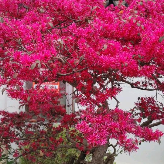 开开心心过好每一天