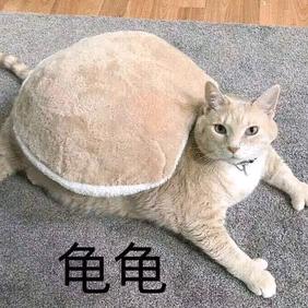 像TM做梦一样