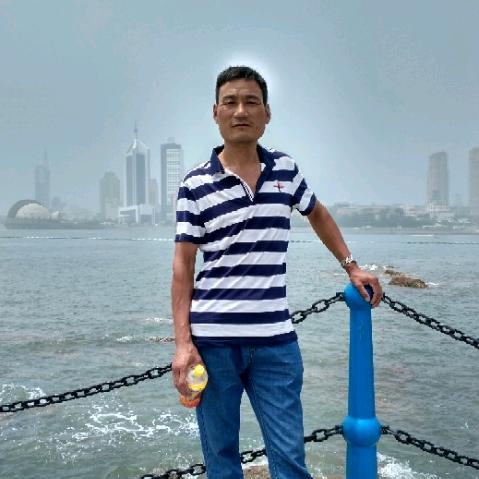 老贾托盘车