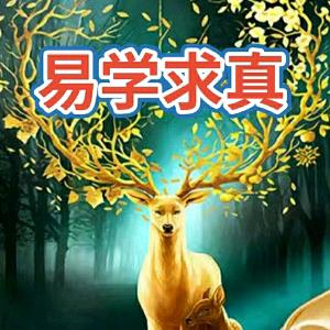 不才老夏