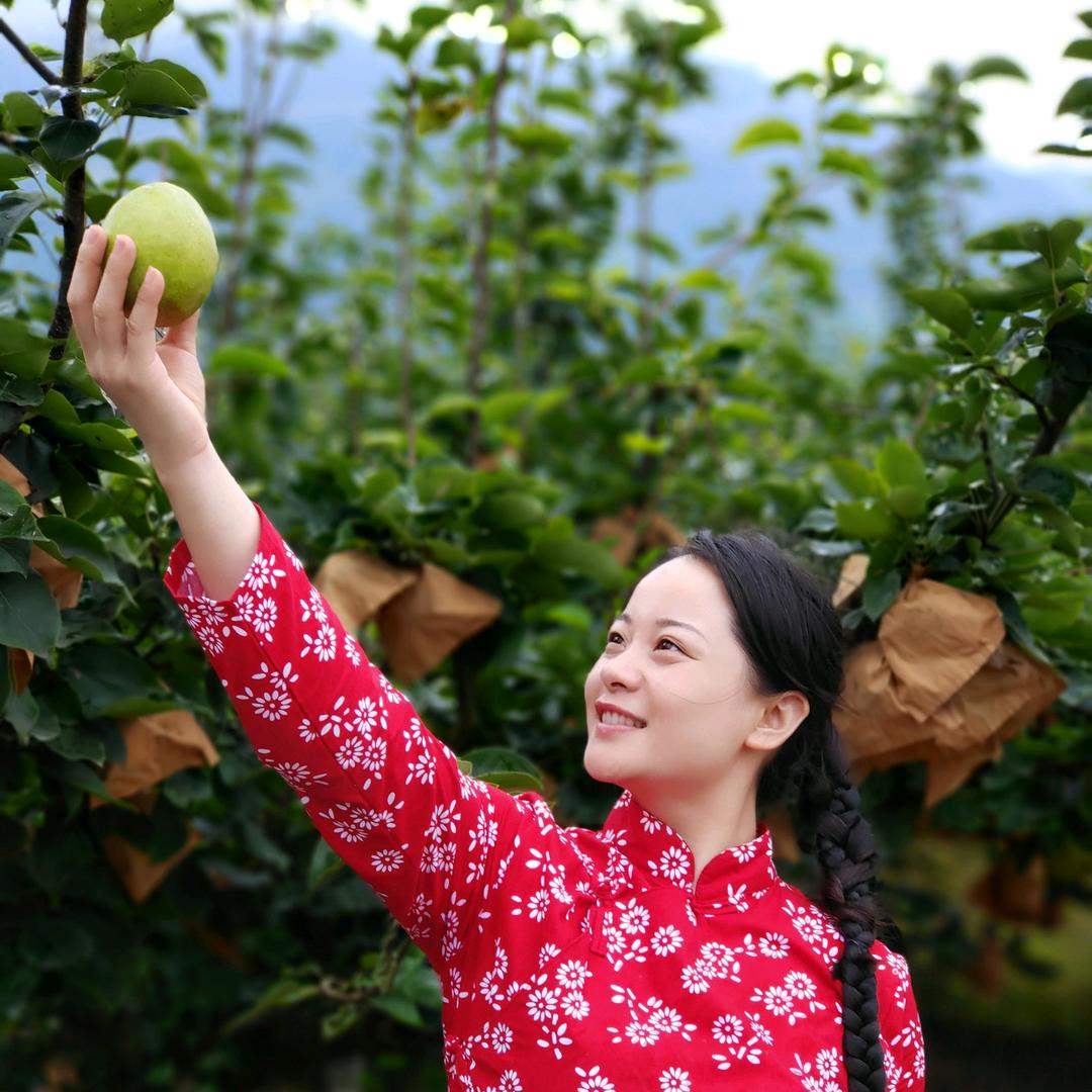 砂梨姑娘