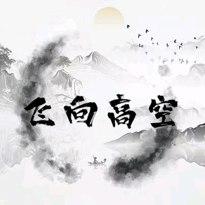 飞向高空