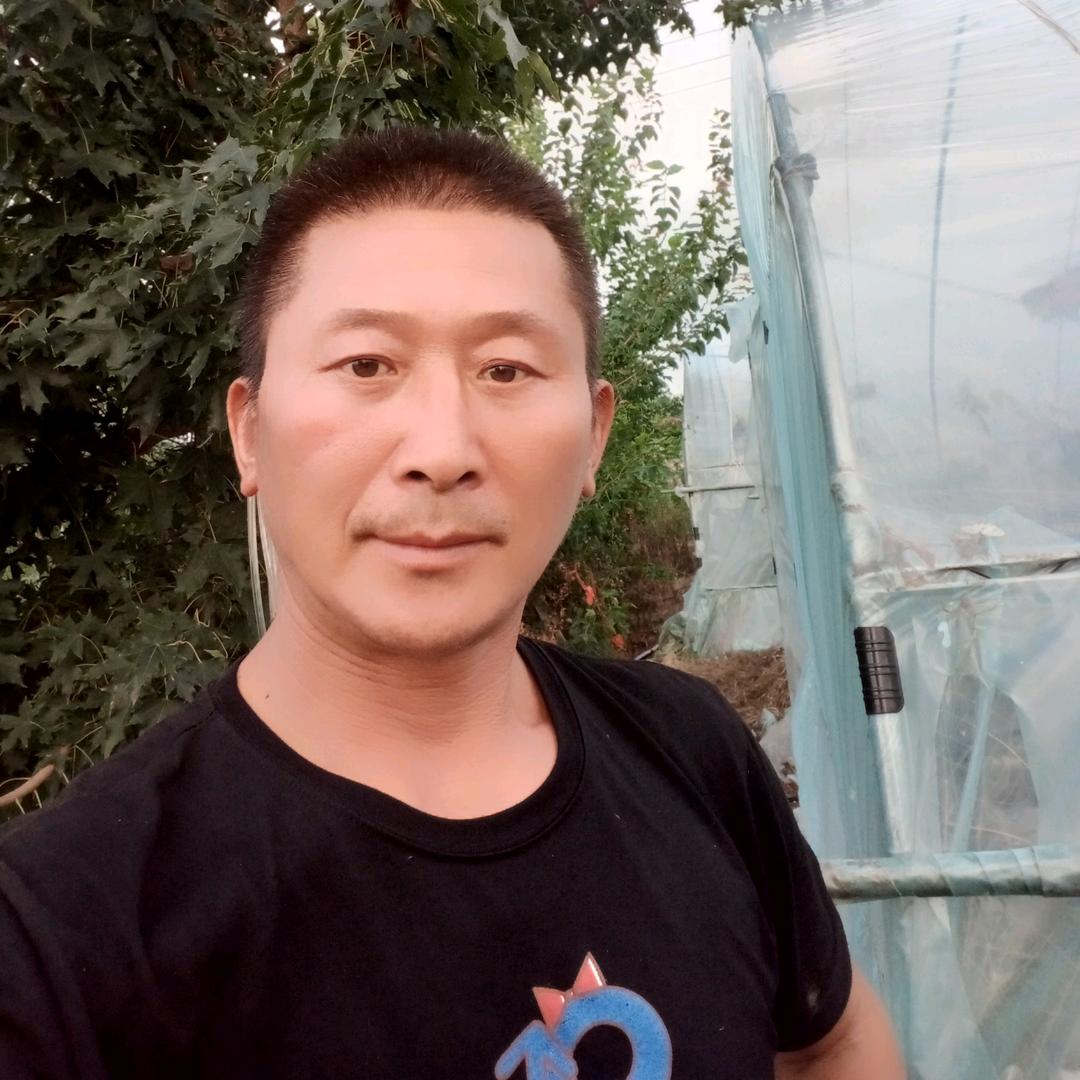 四林演艺