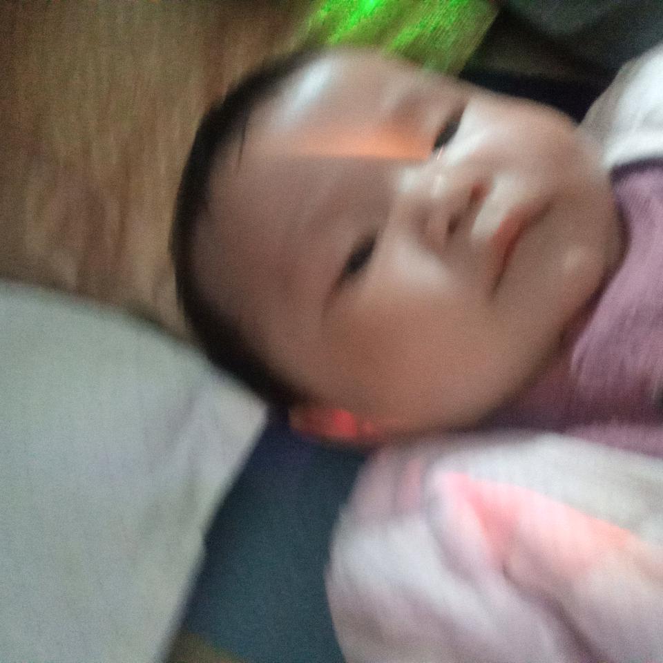 白玫瑰