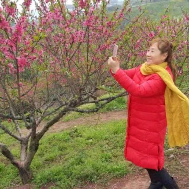 芳芳