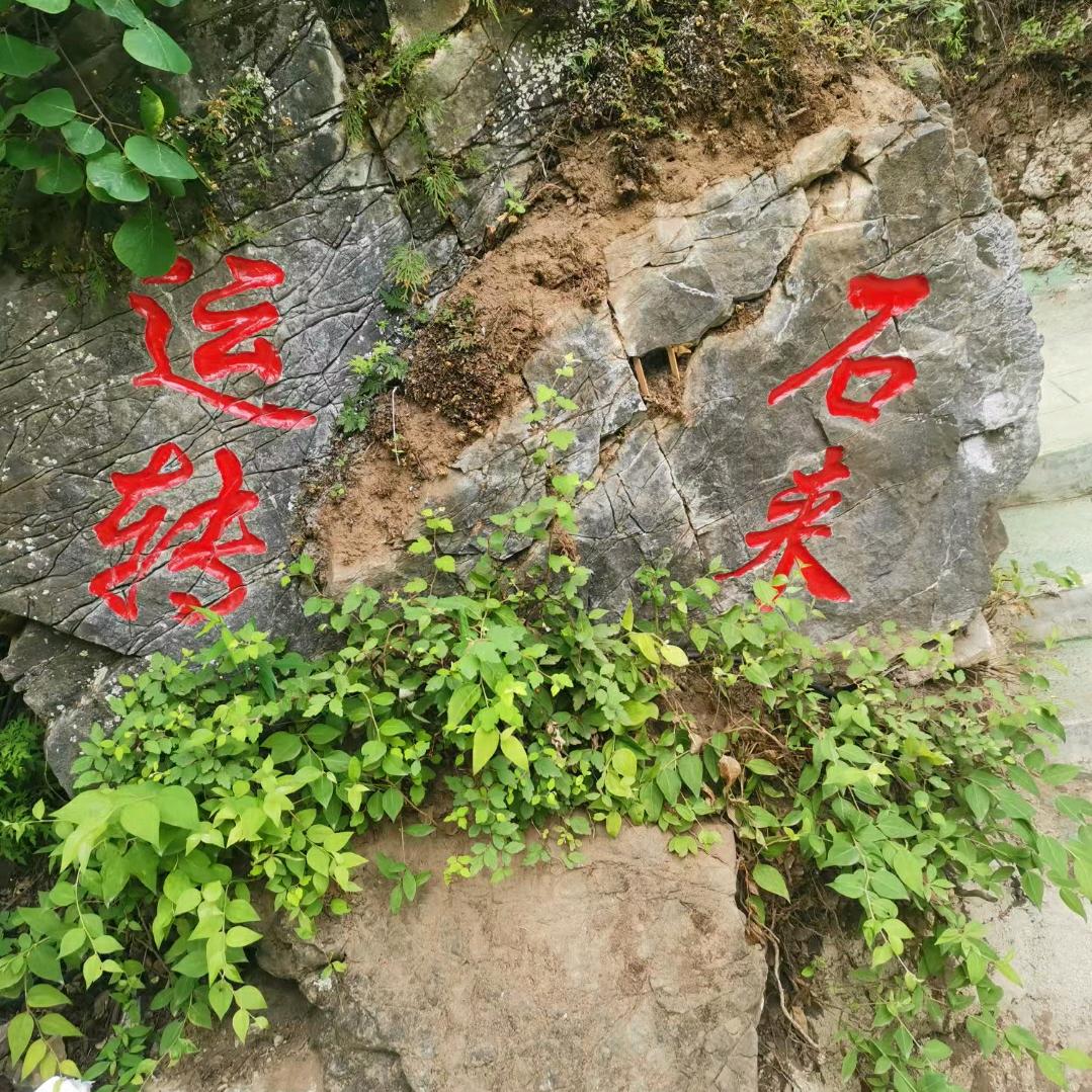 @牛姐