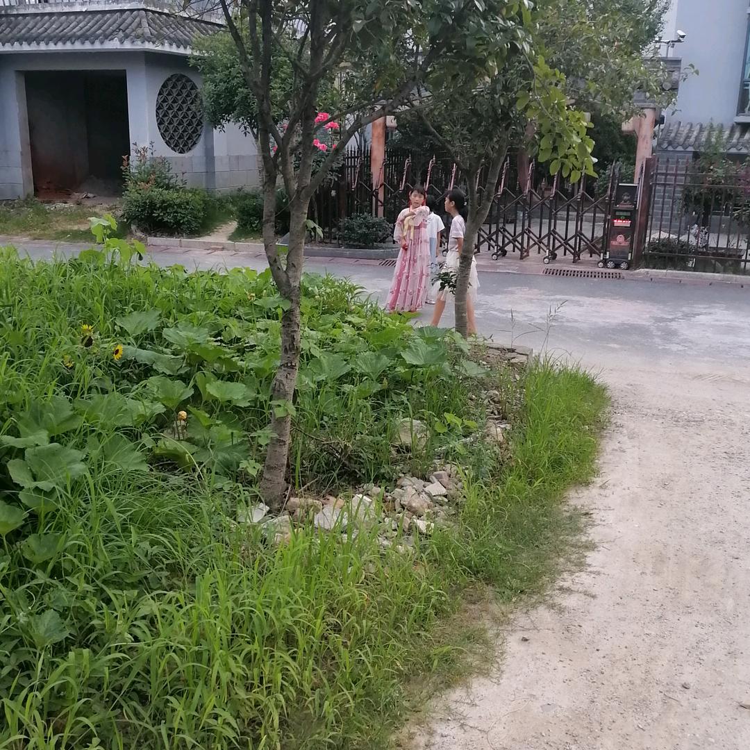 成哥