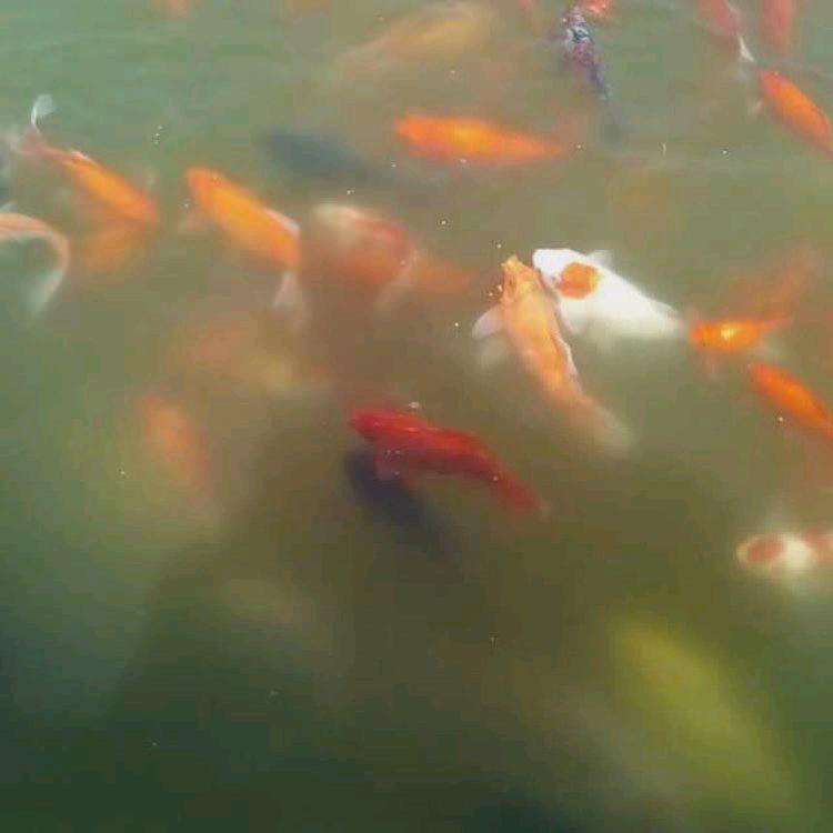 烈酒不如她❤️