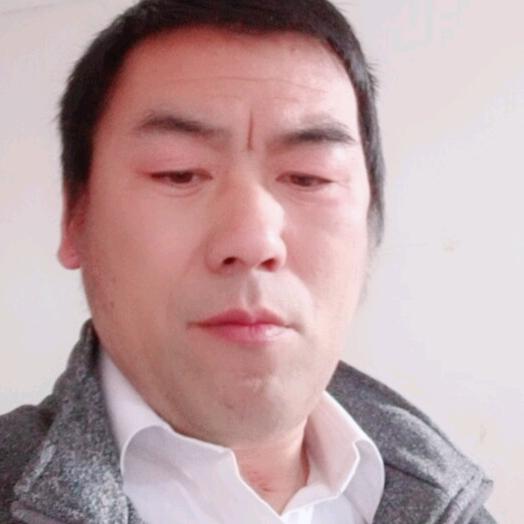 飞飞