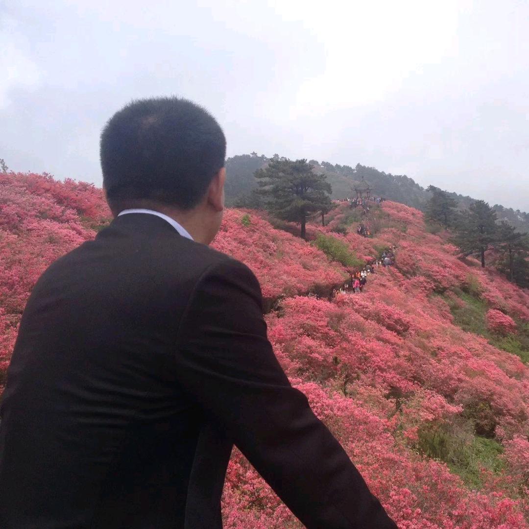 英山良晨生态