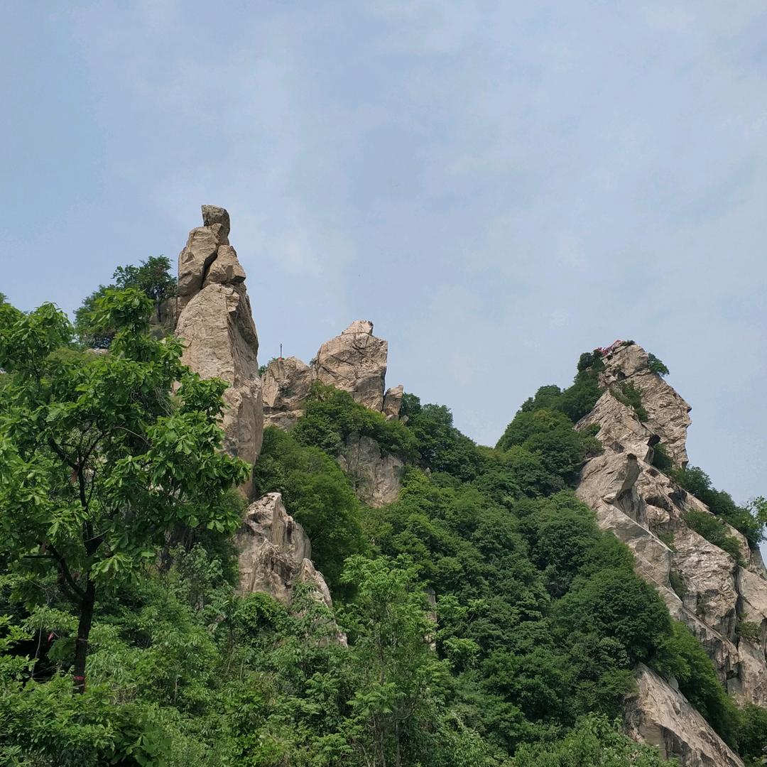 大飞哥