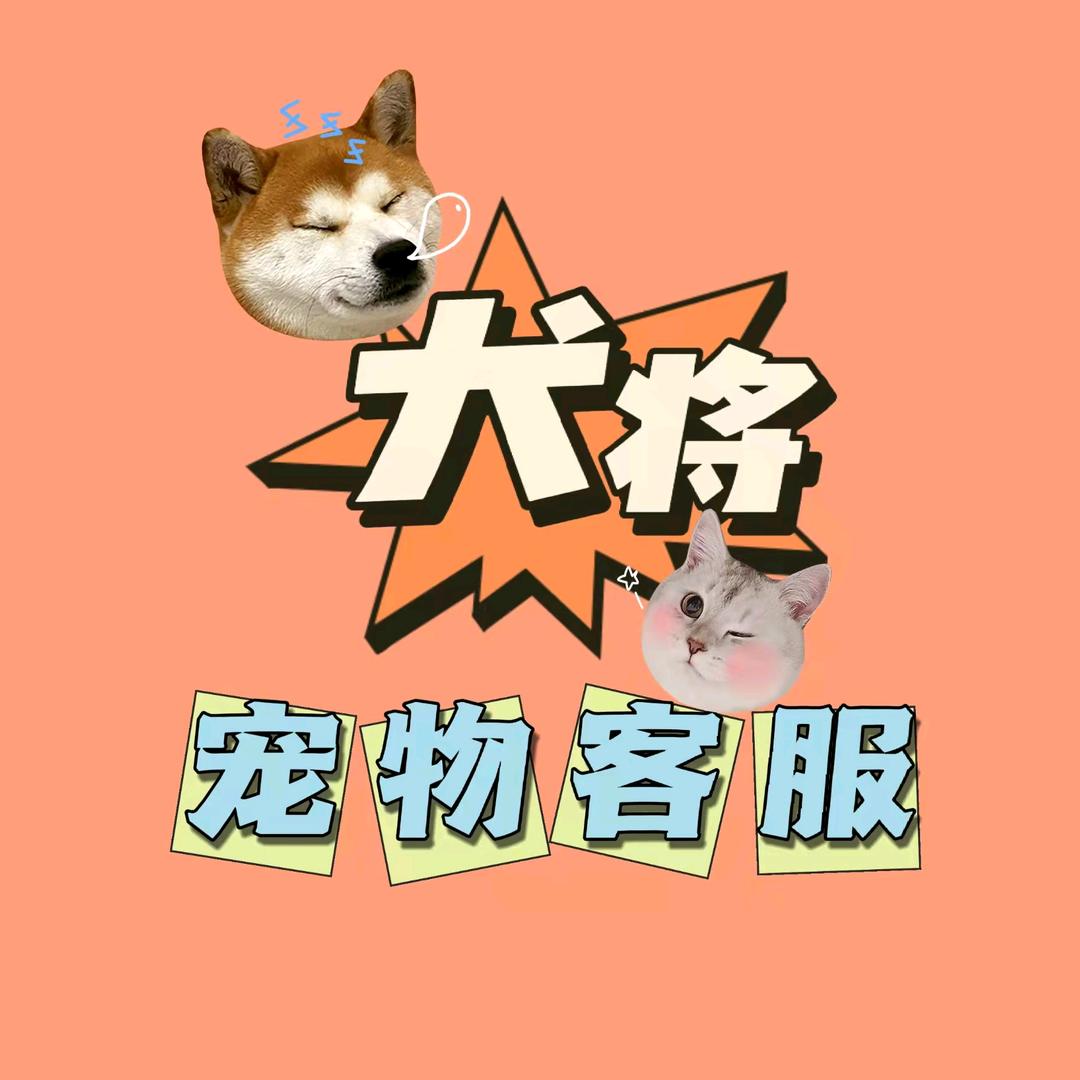 犬将宠物