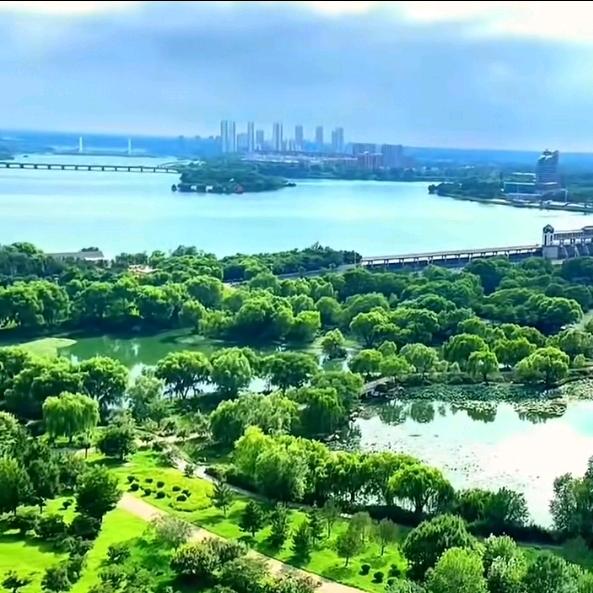 👑金$风过无痕👑