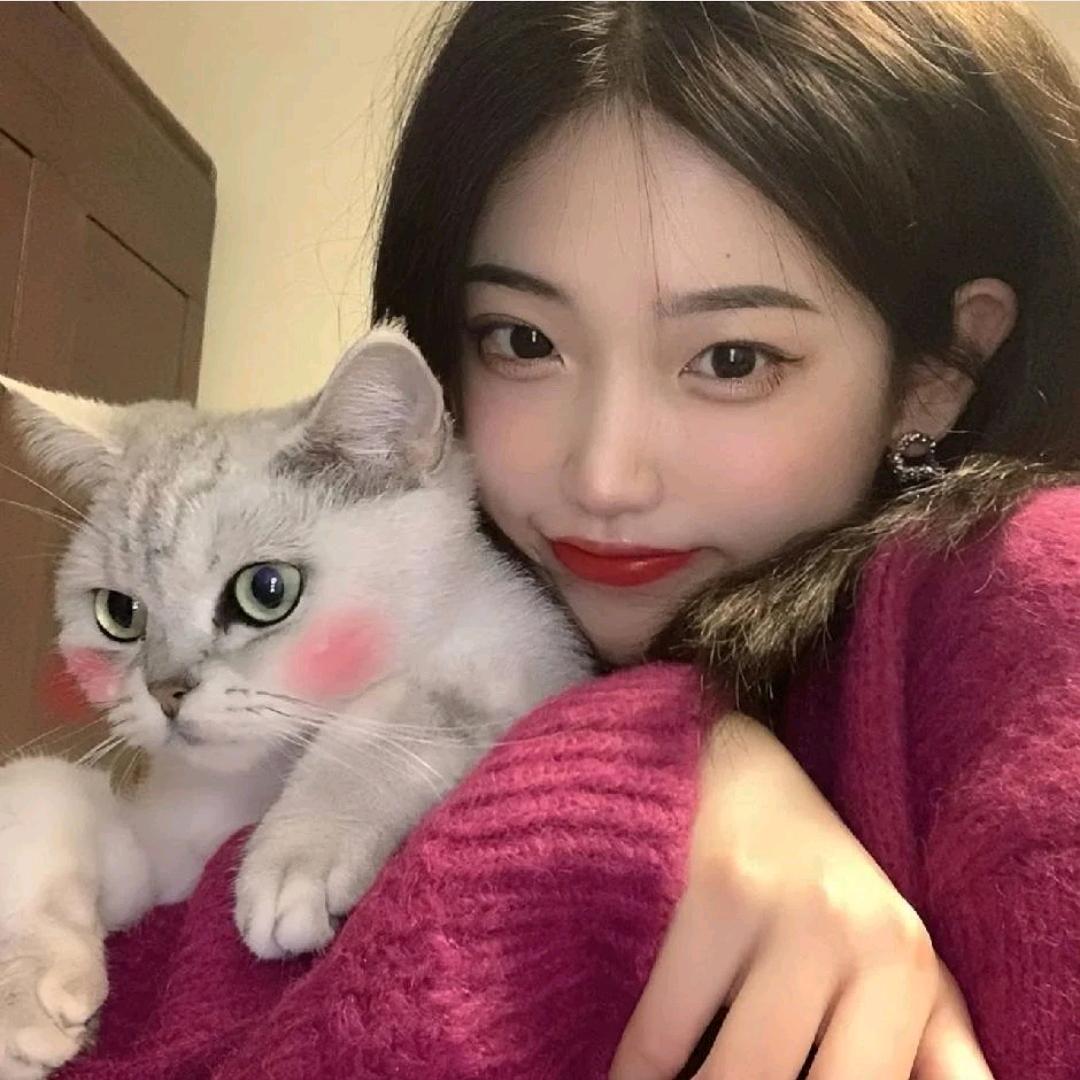 小绵羊🐑 ⁵¹¹