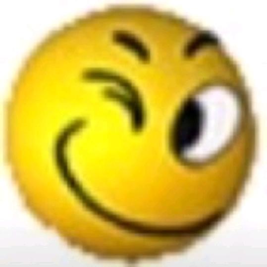 ㎡