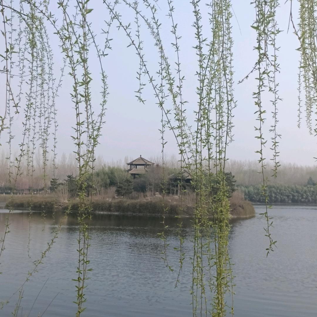 方向
