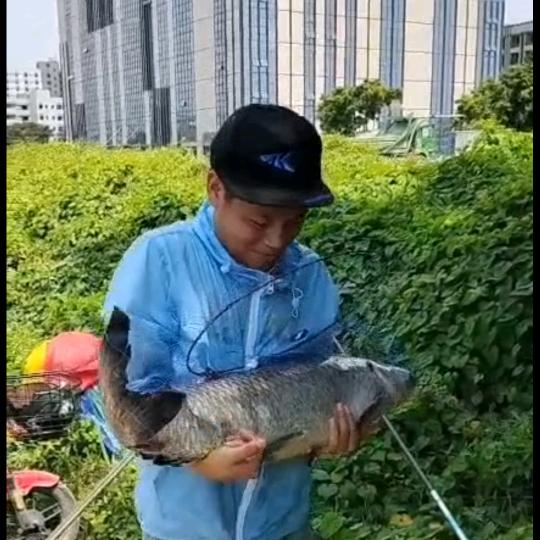 休闲🎣🎣钓鱼