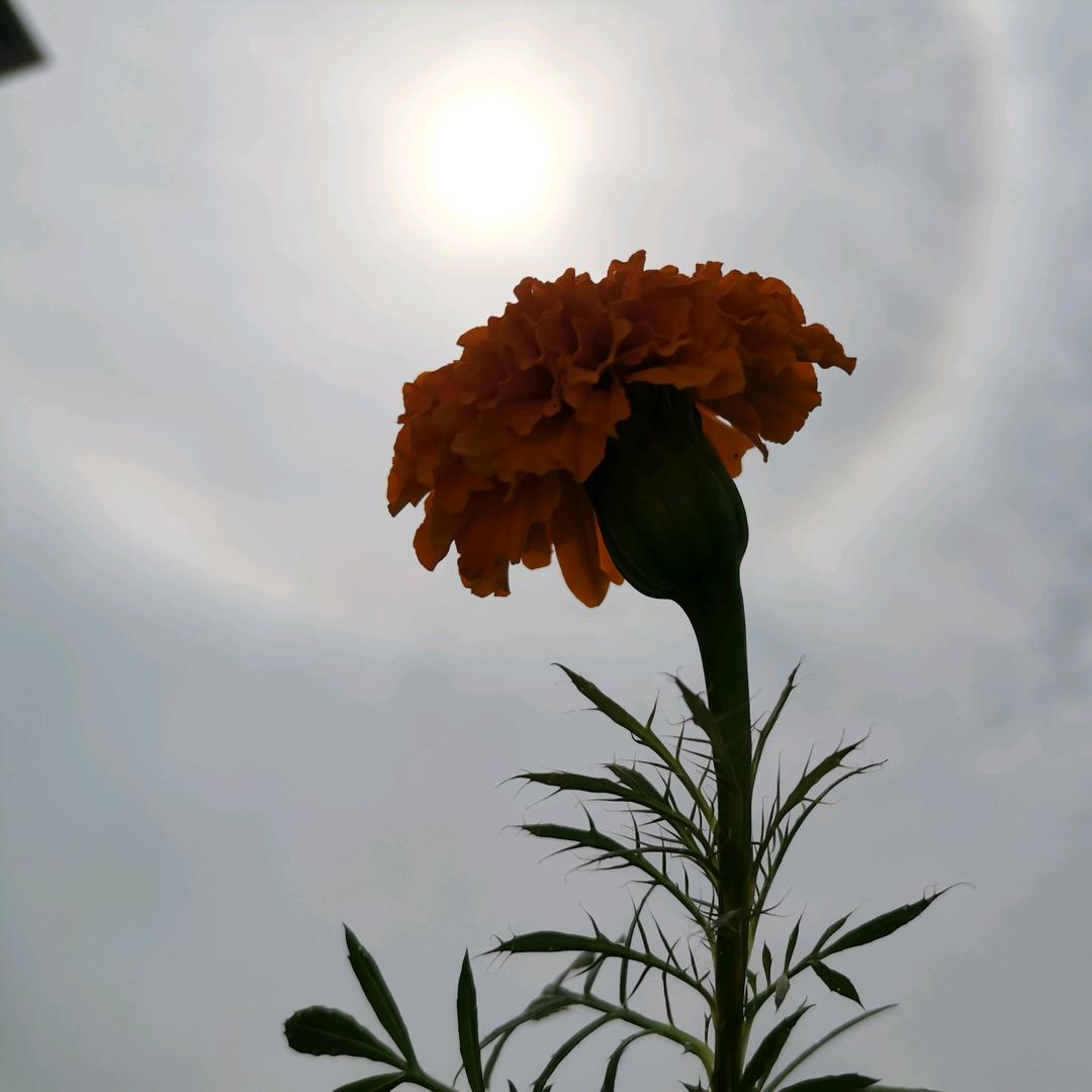 🍀岁月静好🍀