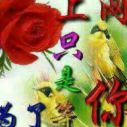 天若有情天亦老！