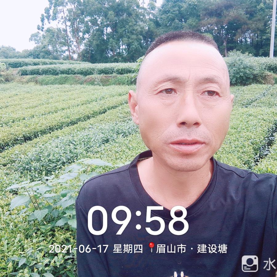 星光大道0