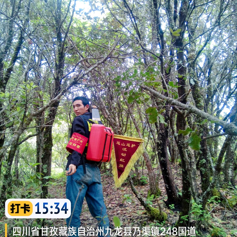 乃渠组森林守护者小霞