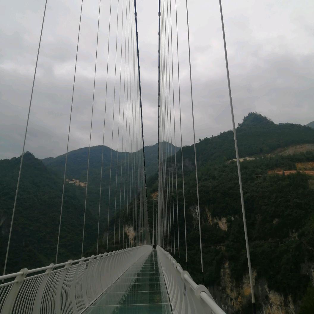 锻炼永远在关注里