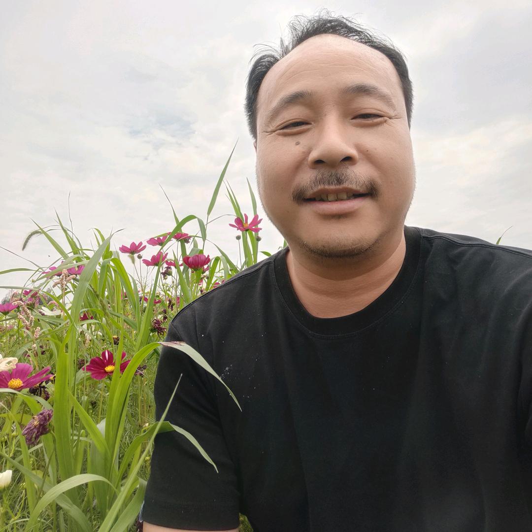 陈先平