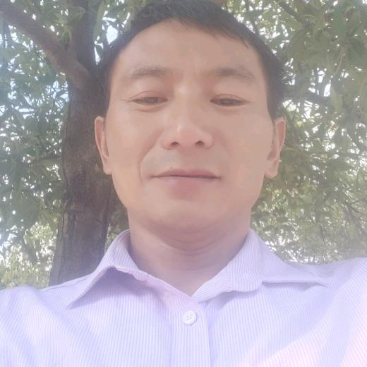 轻舞飞花