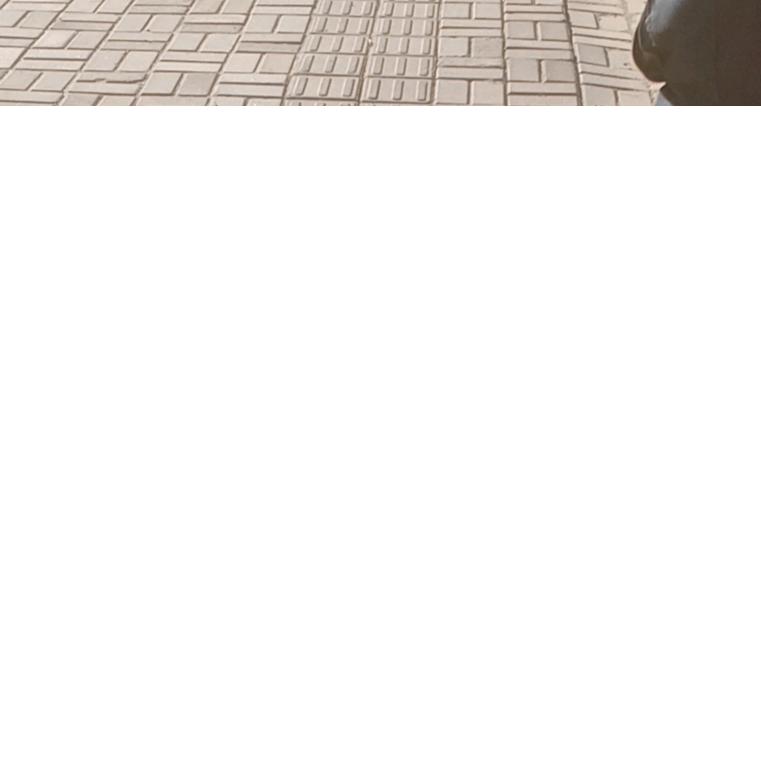 真实的我